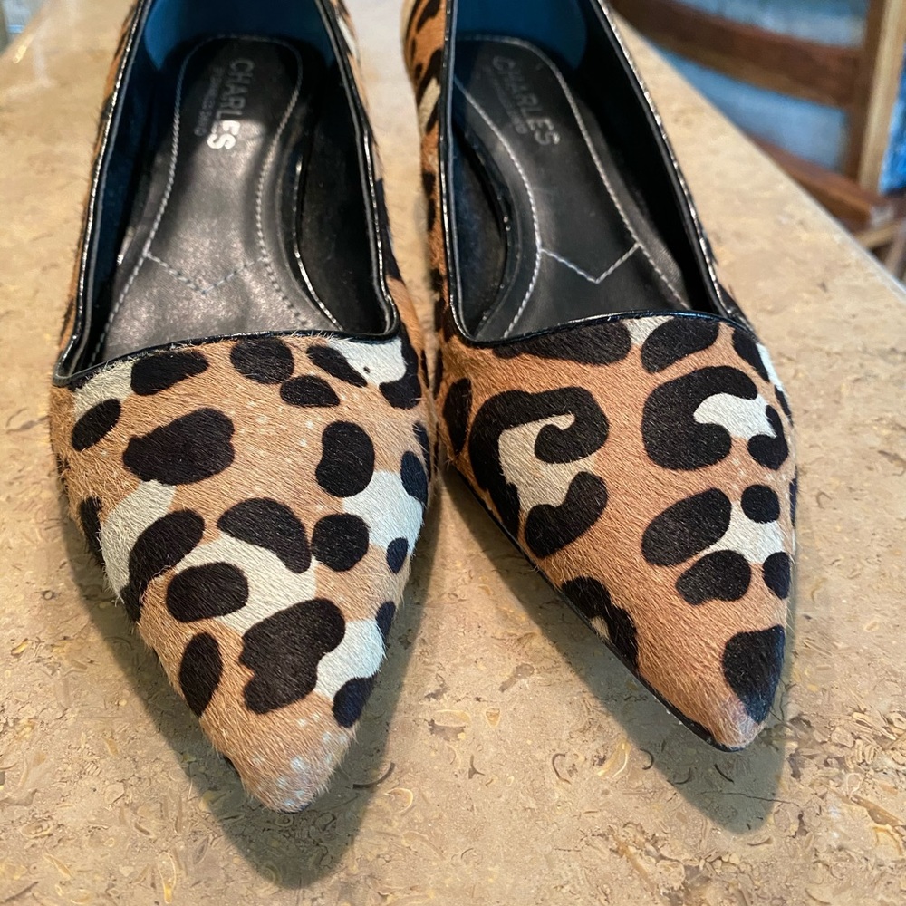 David Charles Heels - Picture 7 of 7